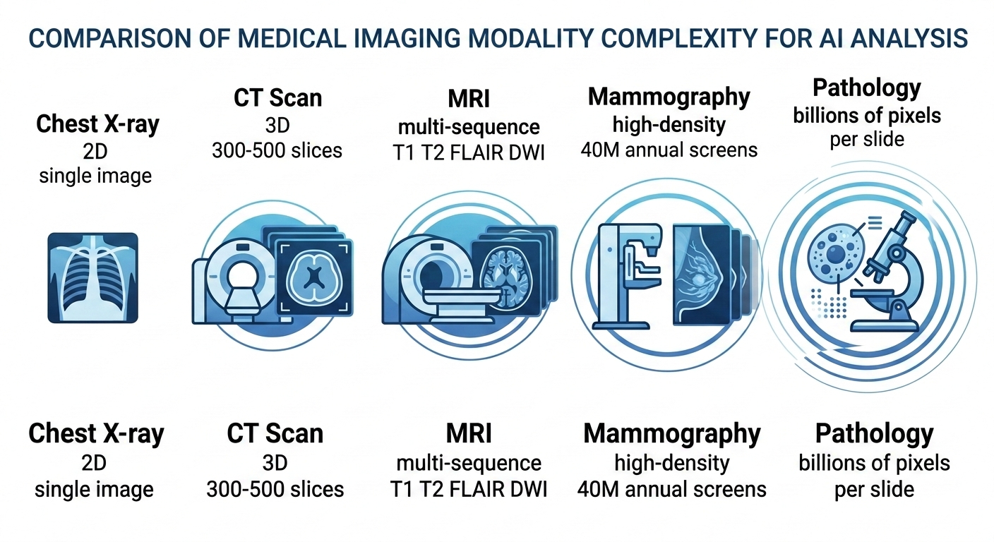 Complexity spectrum of medical imaging modalities for AI — from 2D chest X-rays through 3D CT scans, multi-sequence MRI, high-density mammography, to billion-pixel pathology slides
